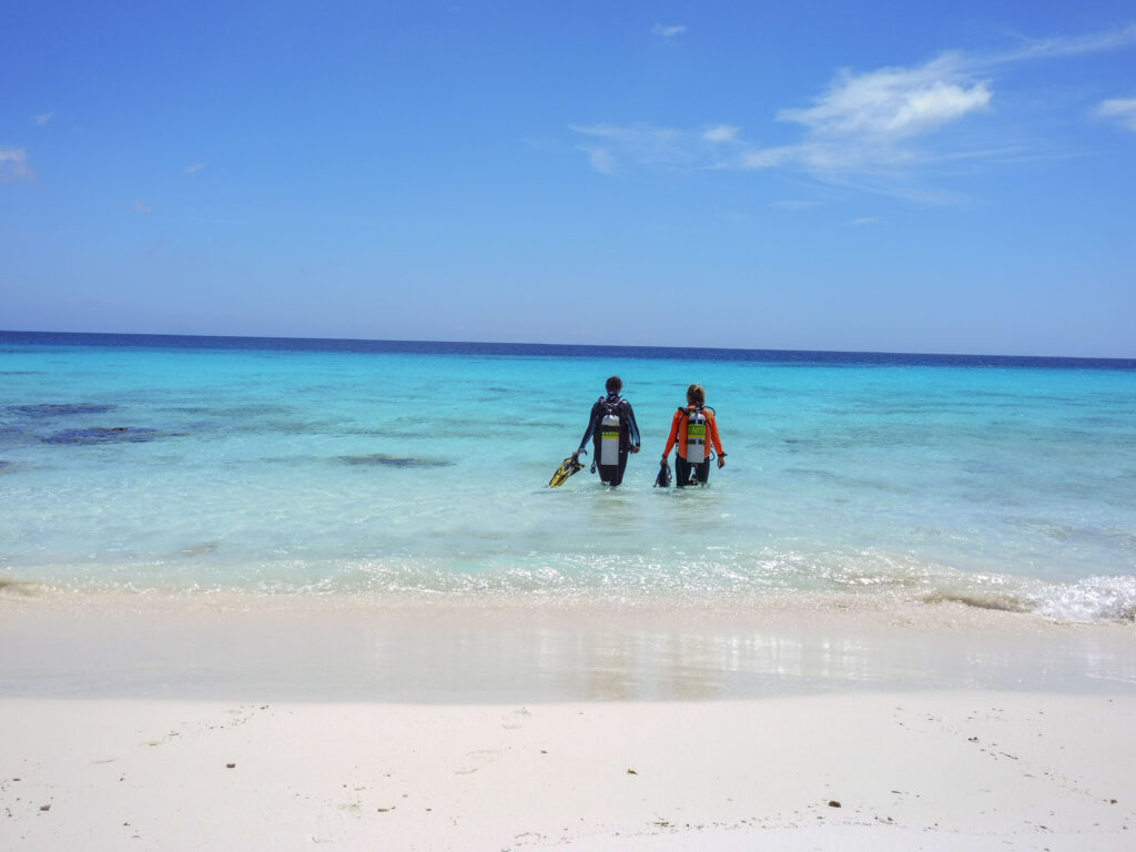 Diving Bonaire Beach Resort Dive