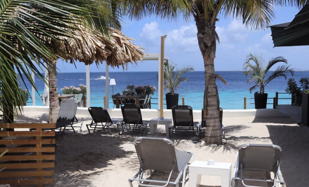 Weißer Sandstrand mit Palmen und türkisblauem Meer auf einer Karibikinsel – perfekter Ort für einen entspannten Karibik Urlaub.