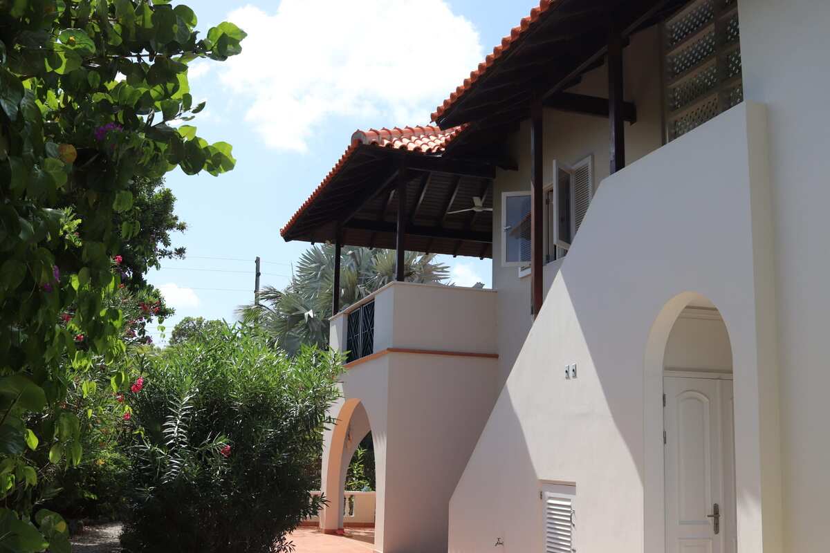 Windsock Trutle Bonaire Urlaub